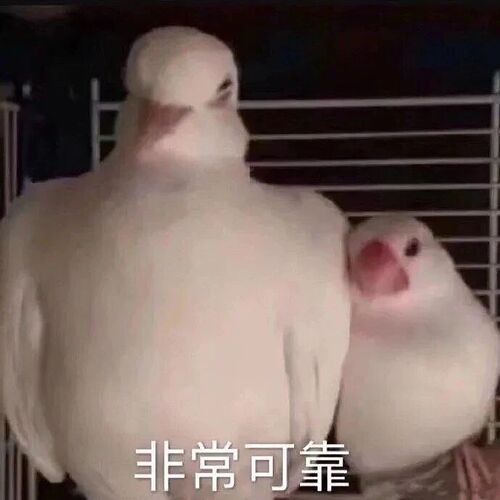 bff0d17c7f07a0c120f2999aa4165409